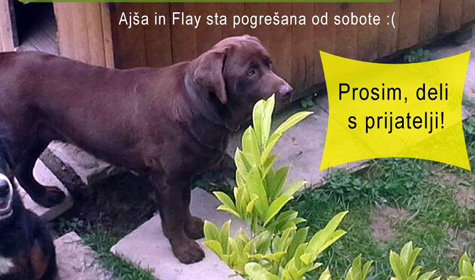 psicka
